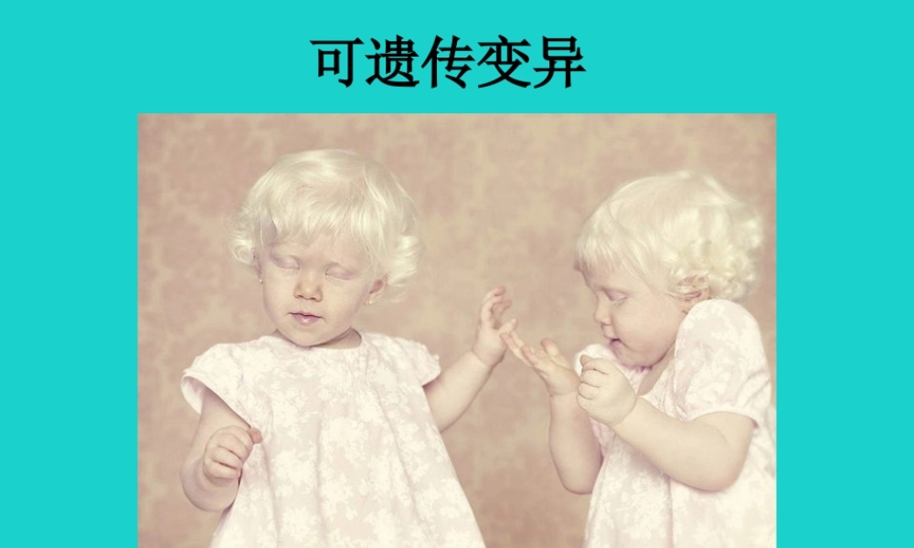 八年级生物下册 第六单元 第二章 第二节 变异 可遗传变异与不可遗传变异课件 冀少版 课件