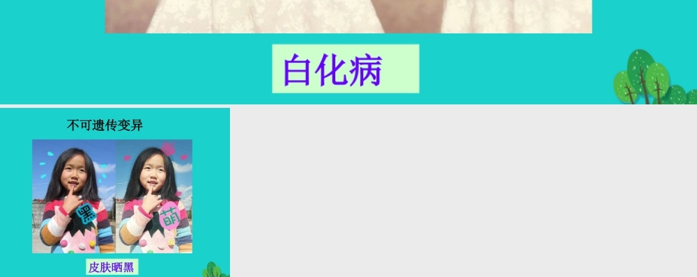 八年级生物下册 第六单元 第二章 第二节 变异 可遗传变异与不可遗传变异课件 冀少版 课件