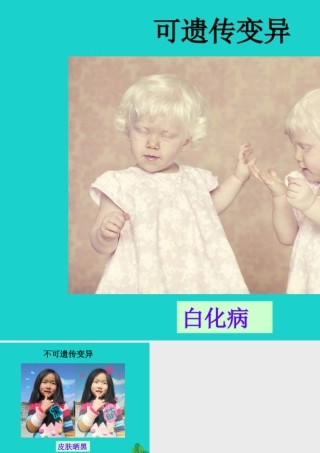 八年级生物下册 第六单元 第二章 第二节 变异 可遗传变异与不可遗传变异课件 冀少版 课件