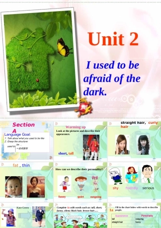 九年级英语 Unit 2   I used to be afraid of the darkSection A课件 人教新目标版 课件