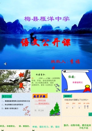 八年级语文松鼠课件4苏教版 课件