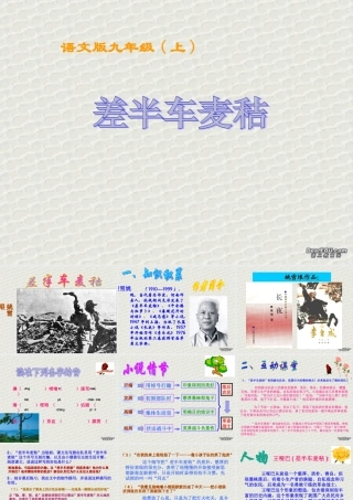 差半车麦秸九年级语文课件示例一 语文版 课件