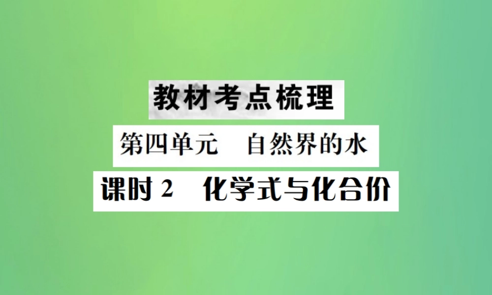 中考化学总复习 教材考点梳理 第四单元 自然界的水 课时2 化学式与化合价课件