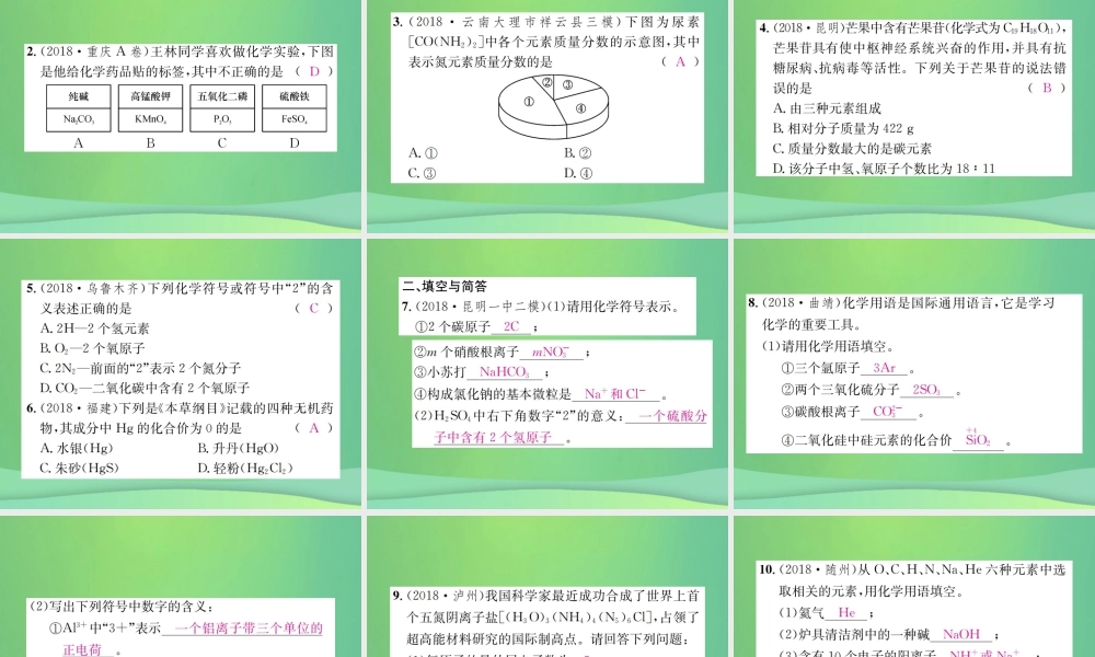 中考化学总复习 教材考点梳理 第四单元 自然界的水 课时2 化学式与化合价课件