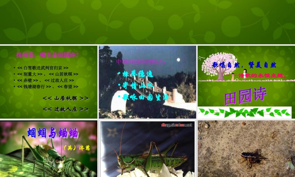 九年级语文上册(4 外国诗两首)课件 新人教版 课件