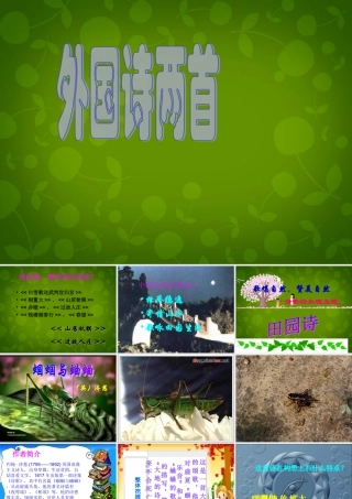 九年级语文上册(4 外国诗两首)课件 新人教版 课件