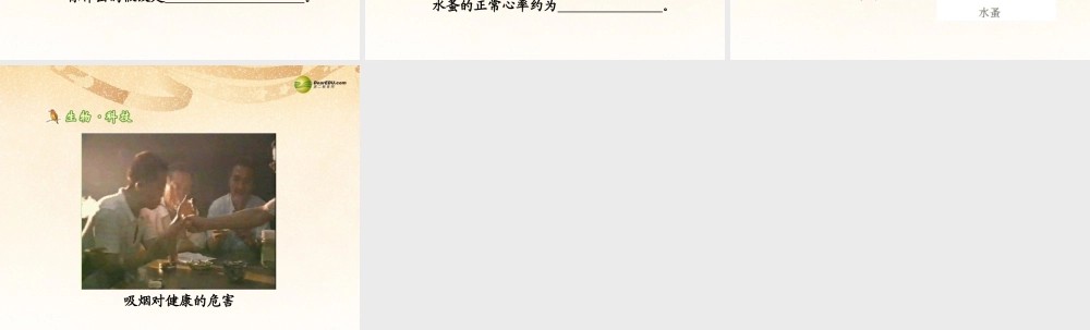 八年级生物下册 第八单元第二章 用药和急救课件1 新人教版 课件