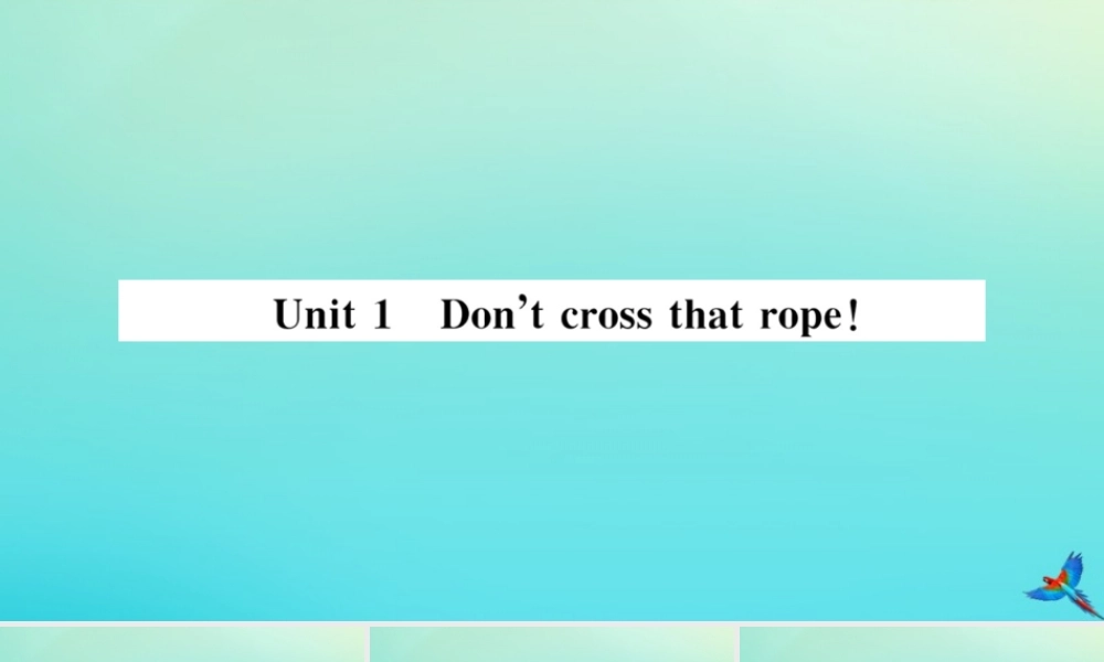 九年级英语上册 Module 5 Museums Unit 1 Don t cross that rope习题课件 (新版)外研版 课件