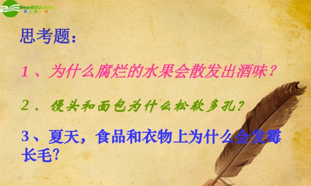 八年级生物上册 第五单元第四章第三节真菌课件人教新课标版 课件