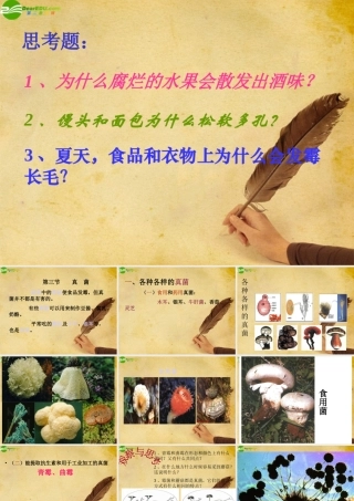 八年级生物上册 第五单元第四章第三节真菌课件人教新课标版 课件