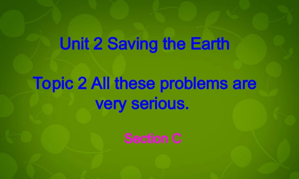 九年级英语上册 Unit 2 Topic 2 All these problems are very serious Section C课件 (新版)仁爱版 课件