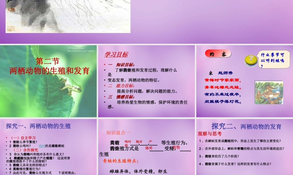 八年级生物上册 4.2.2 两栖动物的生殖和发育课件 (新版)济南版 课件