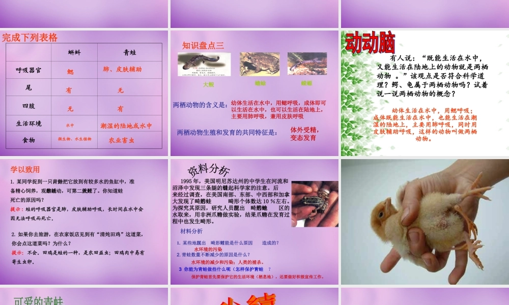 八年级生物上册 4.2.2 两栖动物的生殖和发育课件 (新版)济南版 课件