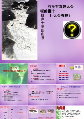 八年级生物上册 4.2.2 两栖动物的生殖和发育课件 (新版)济南版 课件