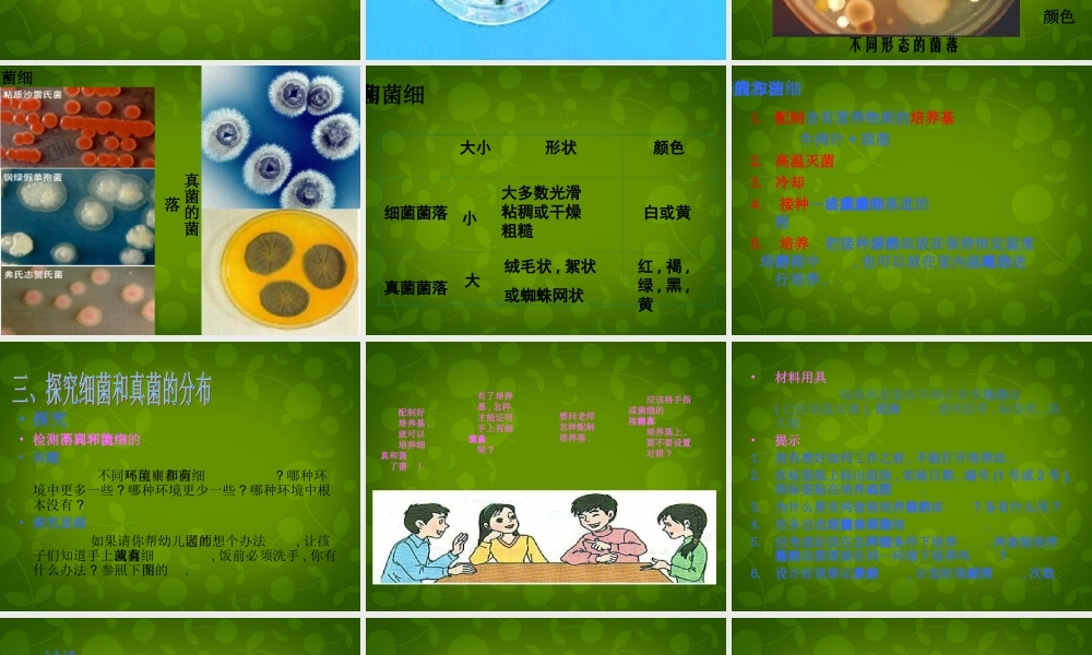 八年级生物上册 5.4.1 细菌和真菌的分布课件 新人教版 课件