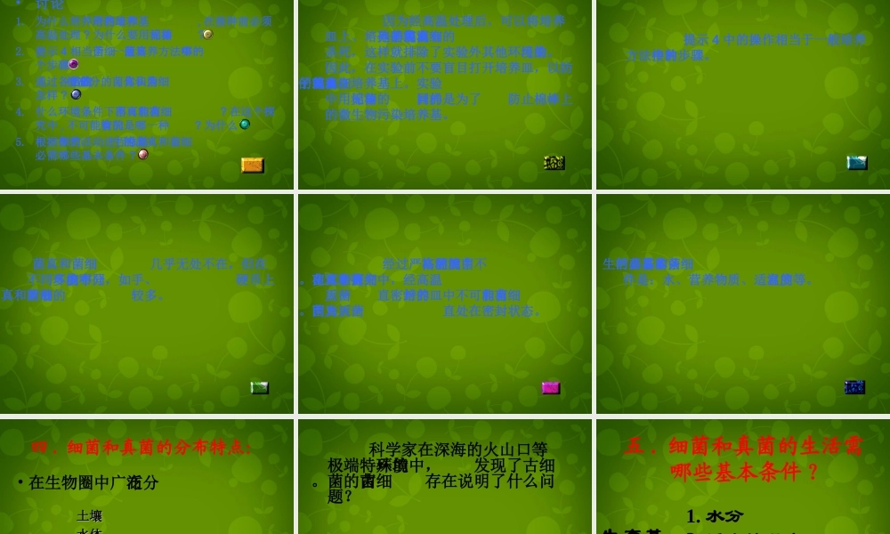 八年级生物上册 5.4.1 细菌和真菌的分布课件 新人教版 课件