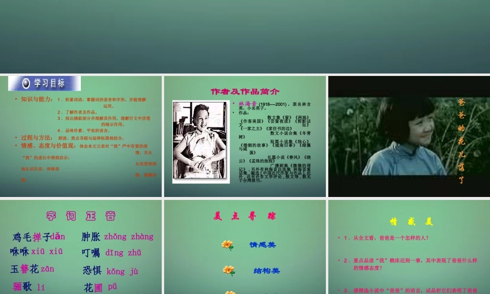 中学七年级语文下册 第2课 爸爸的花儿落了课件1 (新版)新人教版 课件