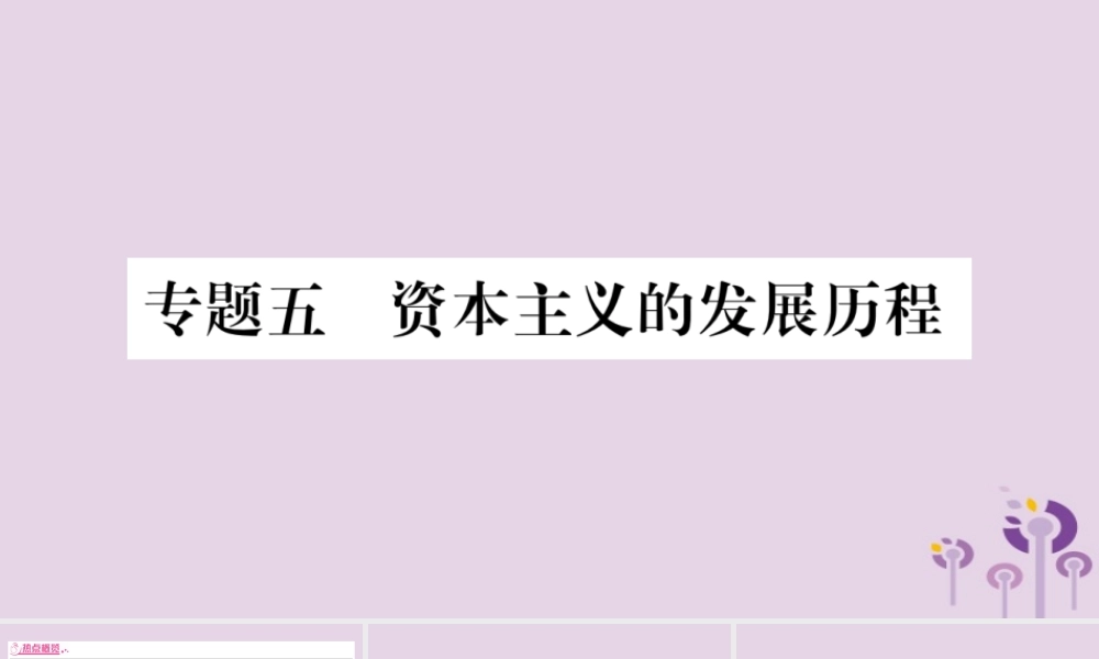 中考历史复习 第二篇 知能综合提升 专题突破5 资本主义的发展历程课件