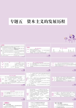 中考历史复习 第二篇 知能综合提升 专题突破5 资本主义的发展历程课件