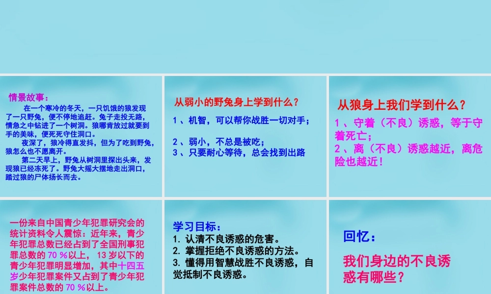 中学七年级政治上册(第八课 第二框 对不良诱惑说 不 )课件3 新人教版 课件