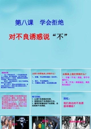 中学七年级政治上册(第八课 第二框 对不良诱惑说 不 )课件3 新人教版 课件