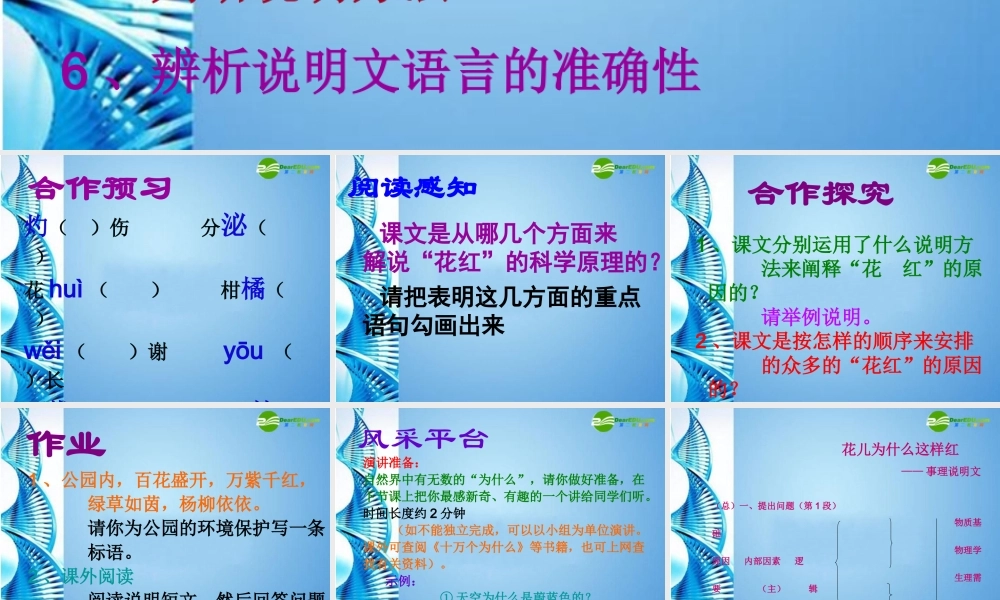八年级语文下册 第13课(花儿为什么这样红)课件 北京课改版 课件