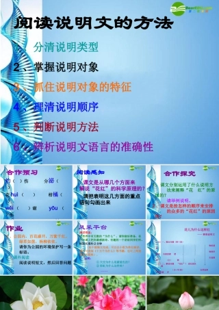 八年级语文下册 第13课(花儿为什么这样红)课件 北京课改版 课件