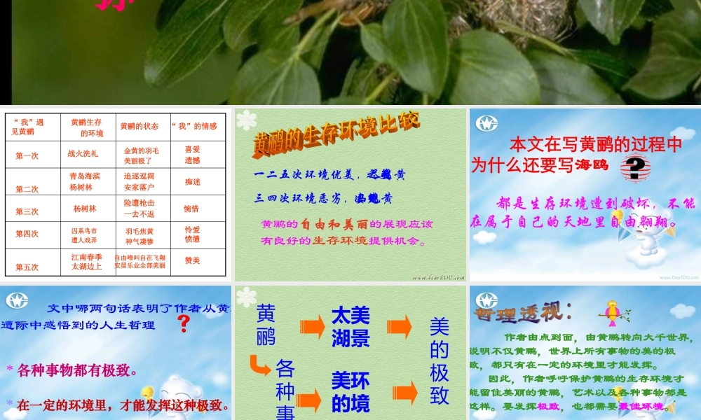 人教版高一语文黄鹂孙犁课件