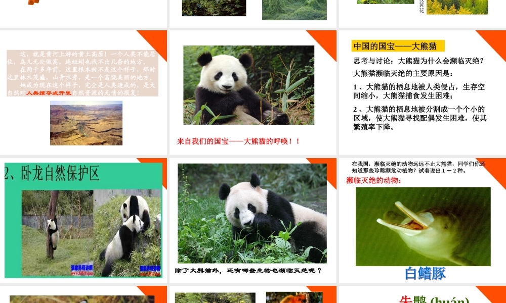 七年级科学上册 第三节保护生物多样性课件 华东师大版 课件