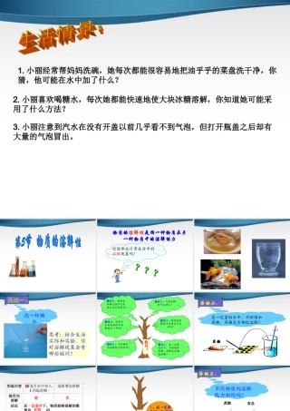 七年级科学上册 物质的溶解性课件(擂台赛公开课) 浙教版 课件
