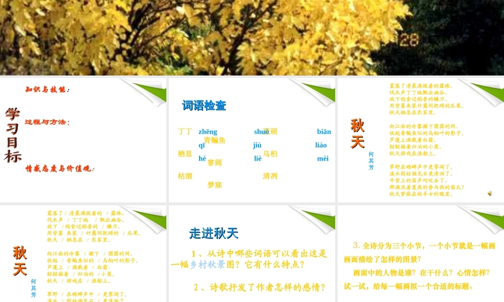 七年级语文上册(秋天)课件 人教新课标版 课件