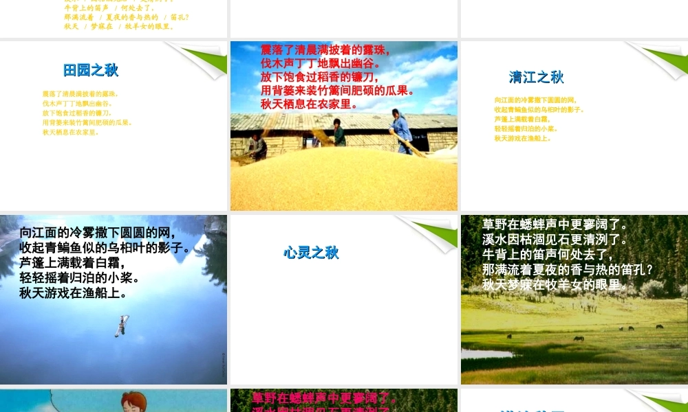 七年级语文上册(秋天)课件 人教新课标版 课件