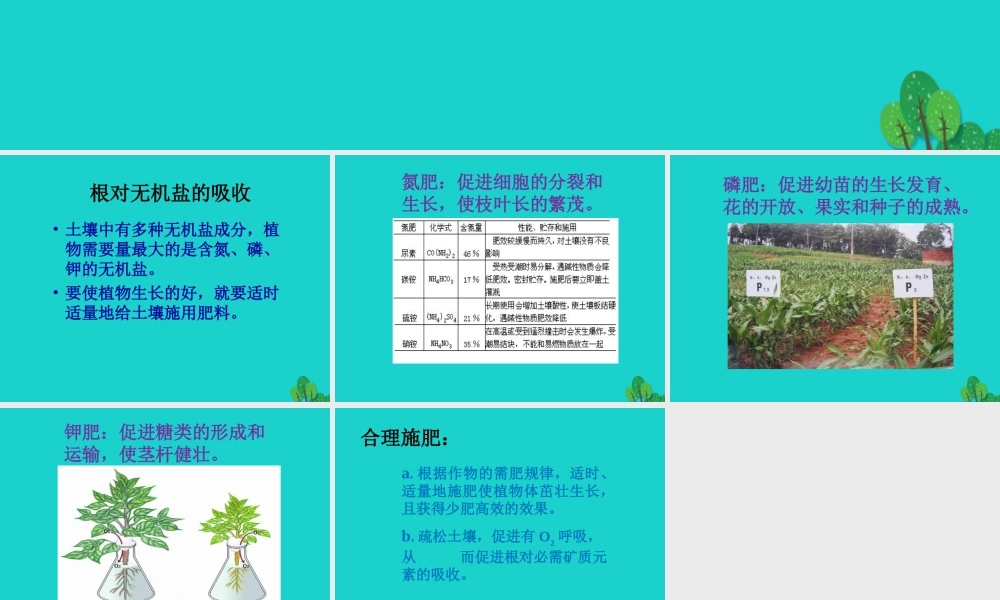 七年级生物上册 第四章 第一节 绿色植物的生活需要水和无机盐需要 植物生长需要无机盐课件 (新版)北京版 课件