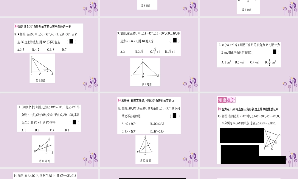 九年级数学上册 第24章 解直角三角形 242 直角三角形的性质作业课件 (新版)华东师大版 课件