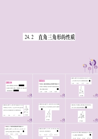 九年级数学上册 第24章 解直角三角形 242 直角三角形的性质作业课件 (新版)华东师大版 课件