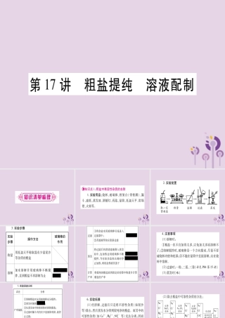 中考化学复习 第一部分 基础知识 第三单元 化学实验 第17讲 粗盐提纯 溶液配制(精讲)课件