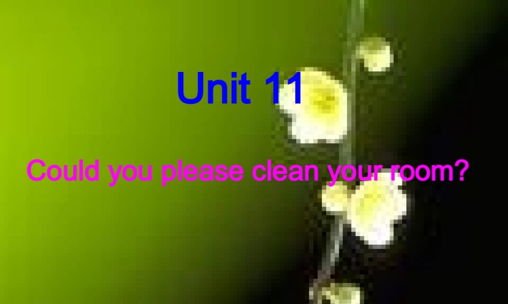 八年级英语 Unit11 Could you please clean your room 2课件 人教版 课件