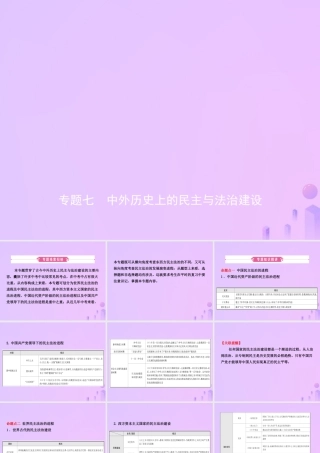 中考历史复习 专题七 中外历史上的民主与法治建设课件