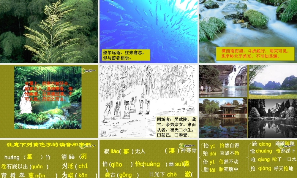 八年级语文下册(第26课 小石潭记)课件 新人教版 课件