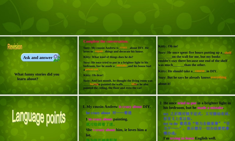 八年级英语上册 Unit 4 Do it yourself Reading 2课件 (新版)牛津版 课件