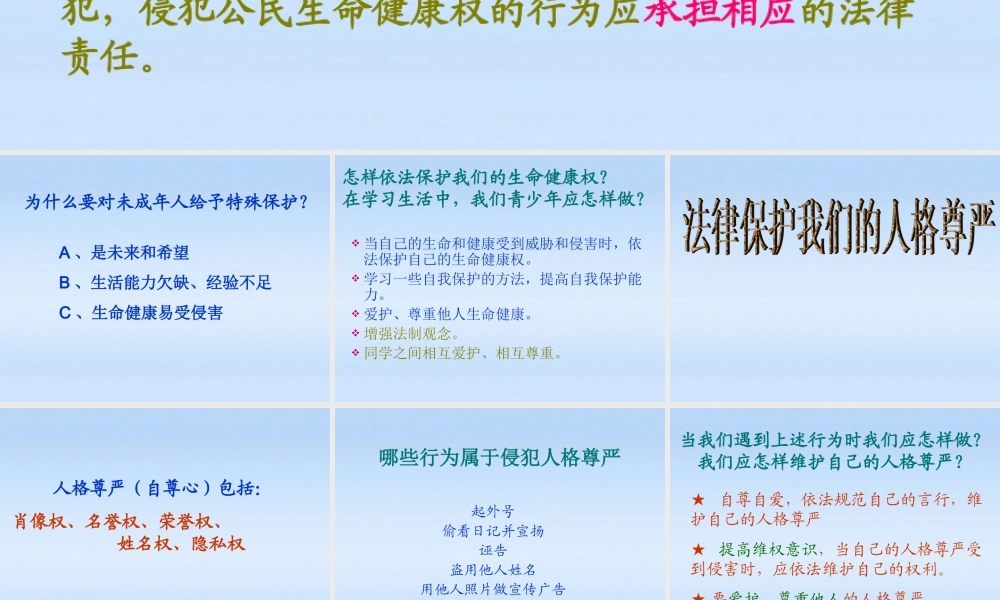 八年级政治上册 第八课(伴我们一生的权利)课件 鲁教版 课件