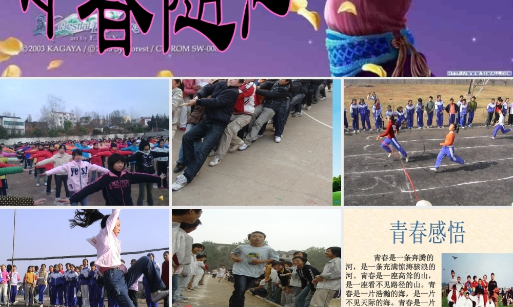 九年级语文上册(青春随想)优秀实用课件 人教新课标版 课件