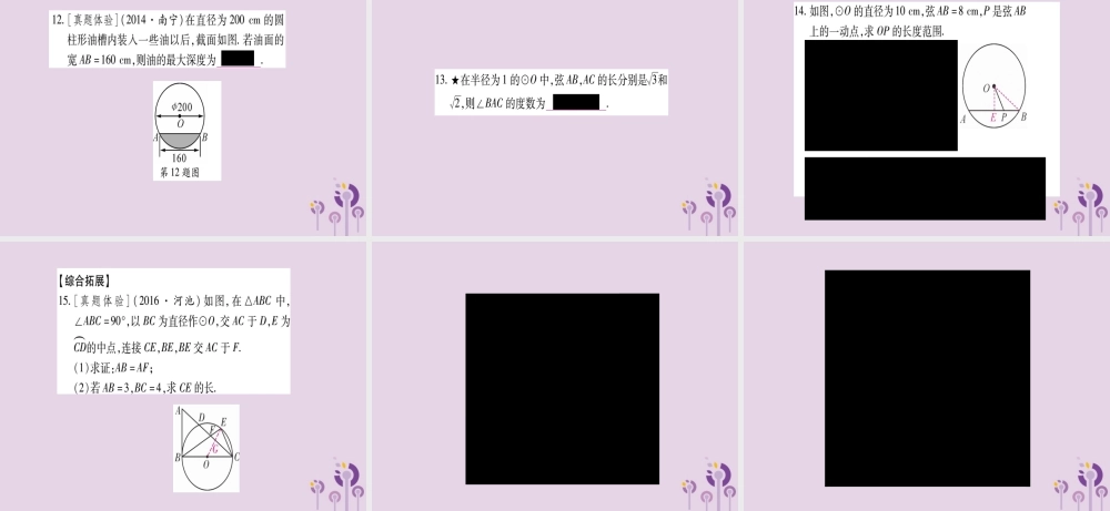 九年级数学下册 第2章 圆 23 垂径定理作业课件 (新版)湘教版 课件