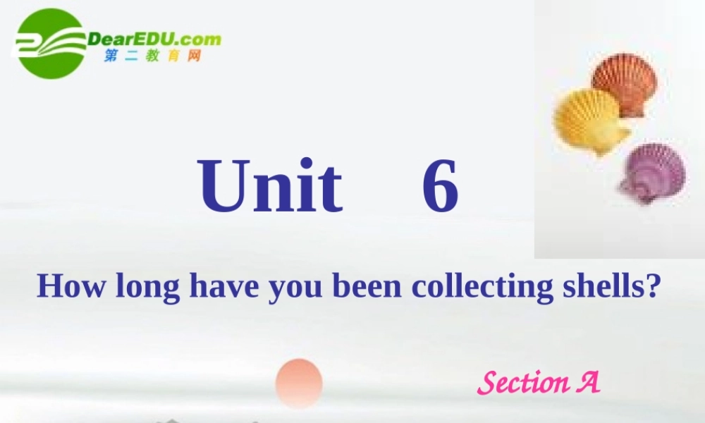 八年级英语上册 Unit 6 How long have you been collecting shells(Section A) 课件 鲁教版 课件