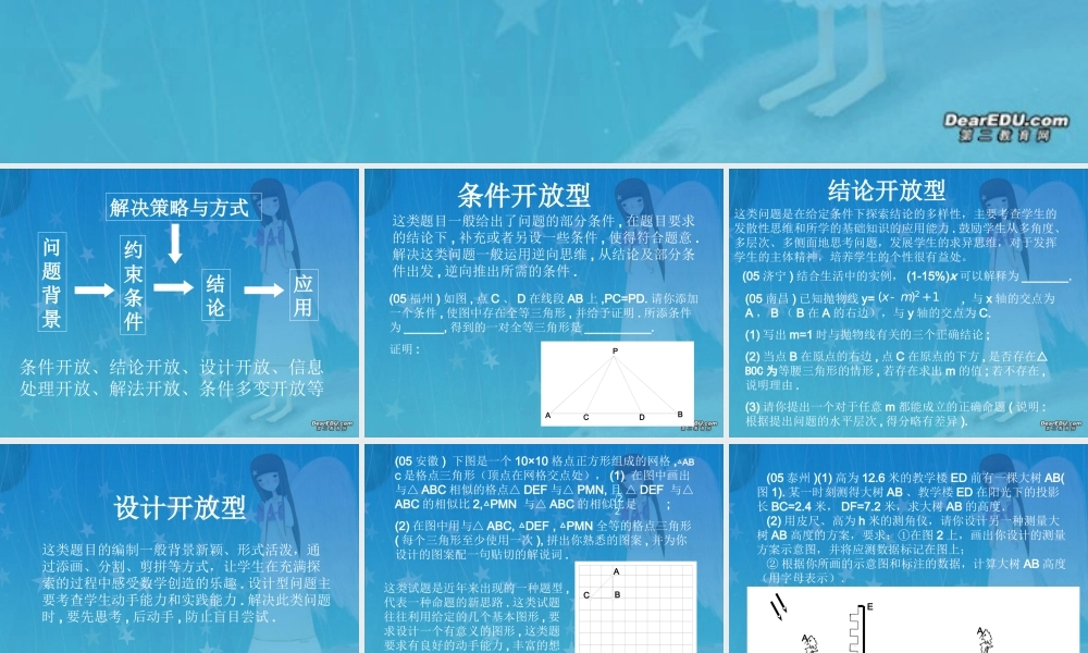 宁波市镇海区蛟川书院中考数学中考中的开放型问题 试题