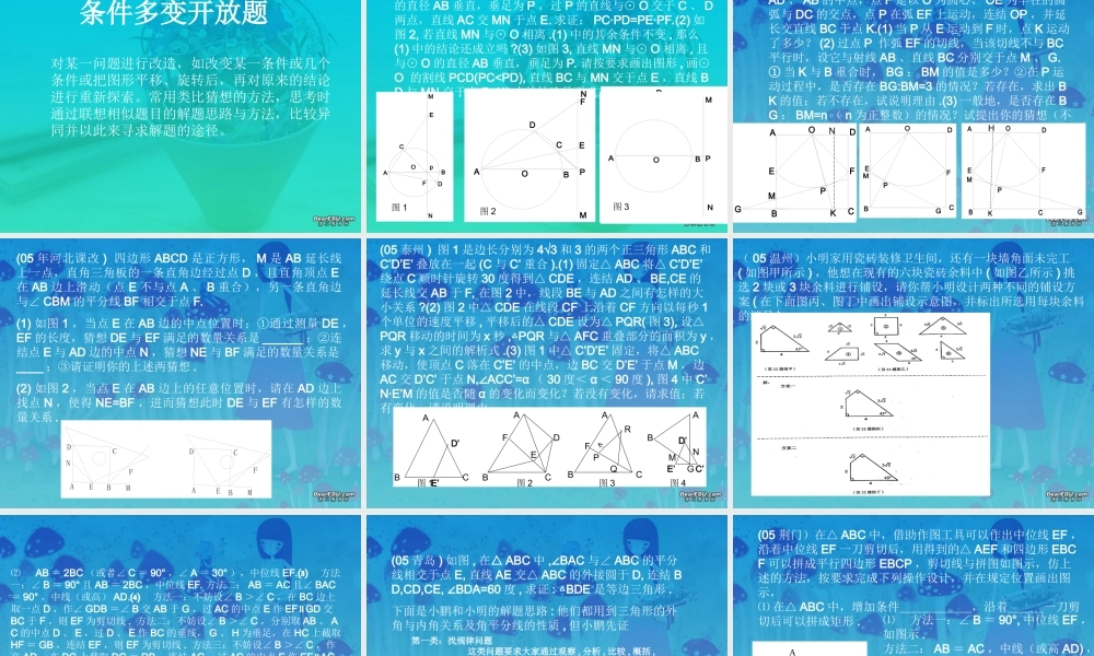 宁波市镇海区蛟川书院中考数学中考中的开放型问题 试题