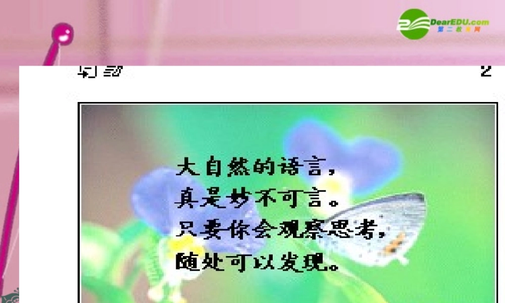 八年级语文上册 16(大自然的语言)教学课件 人教新课标版 课件