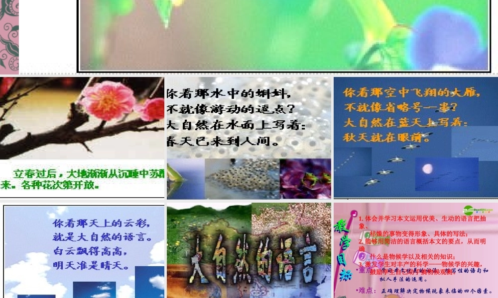 八年级语文上册 16(大自然的语言)教学课件 人教新课标版 课件