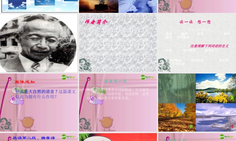 八年级语文上册 16(大自然的语言)教学课件 人教新课标版 课件