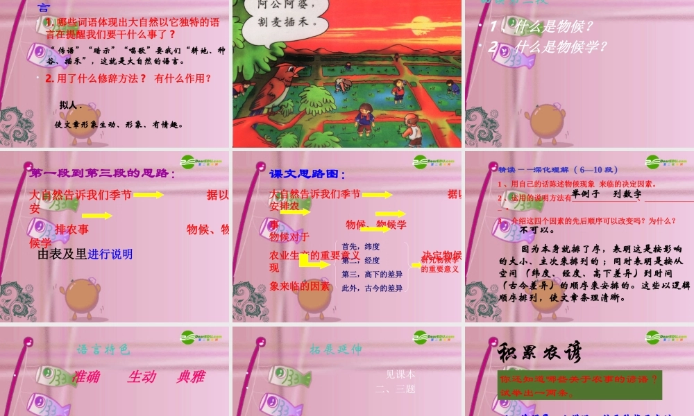 八年级语文上册 16(大自然的语言)教学课件 人教新课标版 课件